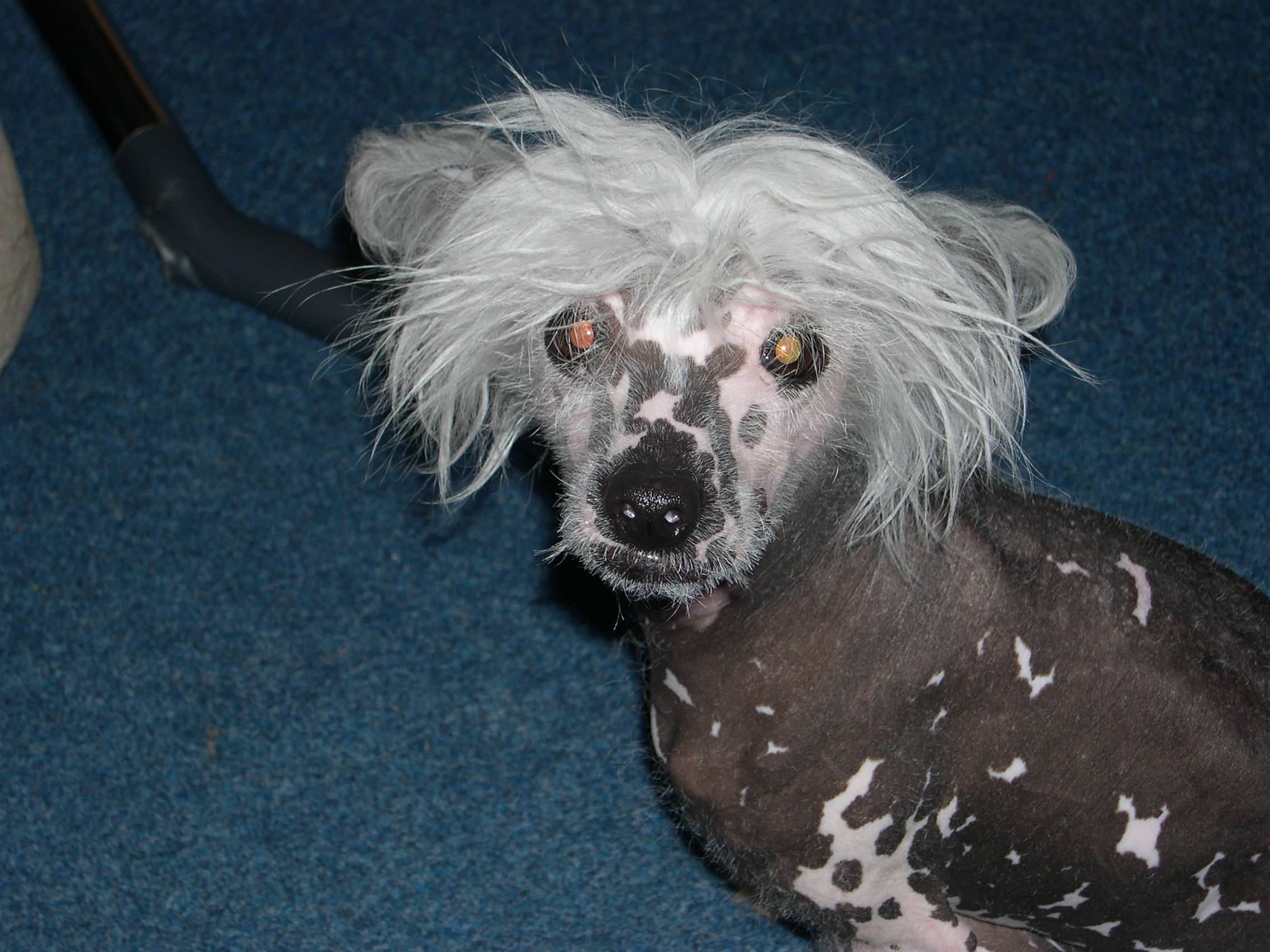 KUKUČ